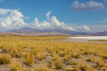 Northern Argentina