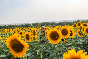 face of  young blond woman among sunflowers in  field, smiling, satisfied, view from afar, large yellow flowers, 