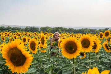 face of  young blond woman among sunflowers in  field, smiling, satisfied, view from afar, large...