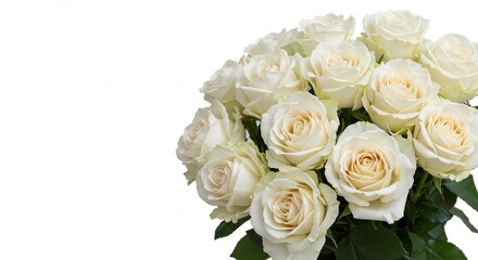 白いバラ束 優雅な光 美しい花びら 清楚な雰囲気. AI Generated