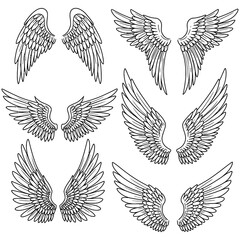 Collection of detailed hand-drawn angel wings in black and white. Various wing styles and shapes, isolated on white background, perfect for tattoos, fantasy art, and decorative design projects.
