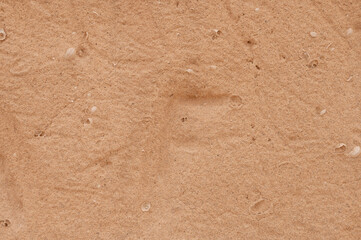 Detalles de roca y estratificaci&oacute;n marina en el Barranco de los Encantados