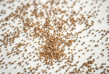 close up of a coffee beans