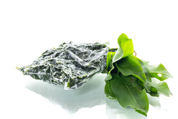 Fresh and frozen sorrel on a white background