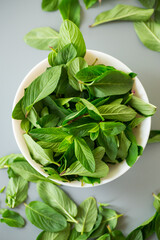 Bunch of fresh mint in plate on gray background from above
