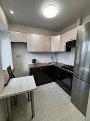 Compact Modern Kitchen Interior with Light Wood Flooring and Built-in Appliances