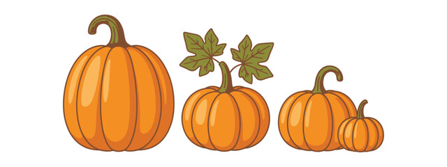 Harvest Bounty A Lineup of Pumpkins in Varying Sizes, Displaying the Beauty of the Autumn Vegetable Patch. 