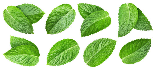 Mint leaves set isolated on white background. Mint leaf collection clipping path. © Maks Narodenko