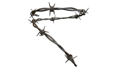 Barbed metal steel wire isolated on a transparent background