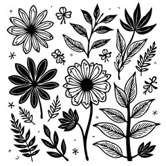 Elegant botanical collection: Hand-drawn floral and foliage vector illustration