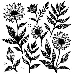 Elegant botanical sketches: Vintage floral vector illustrations with delicate detailing
