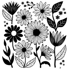 Floral collection of decorative design elements with flowers and leaves isolated