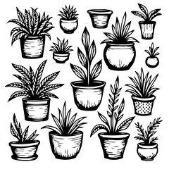 Black and white vector illustration of a set of houseplants in pots isolated