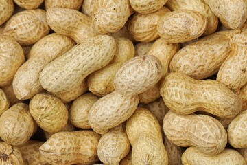 Peanut seed or in Indonesia called Kacang Tanah with seed coat.