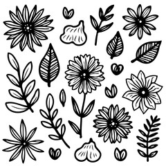 Botanical sketch collection: Hand-drawn flowers, leaves, and plants illustration