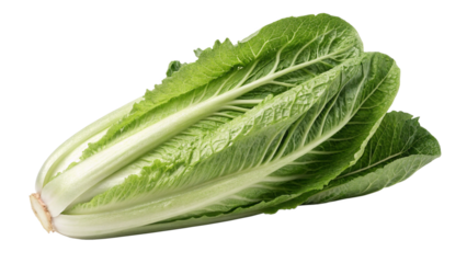 Fresh shallot onions close up macro photography for cooking and healthy food ingredient concept image