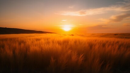 Fototapeta premium A stunningly beautiful image of an orange sunset