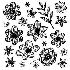 Elegant floral doodle collection with hand drawn flower elements and botanical motifs