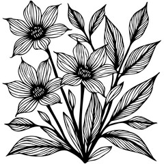 Elegant floral line art illustration with intricate details and botanical elements