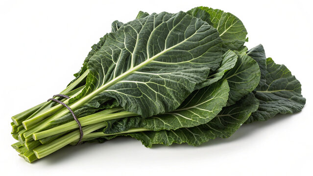 transfarent 200 vegi img - 191