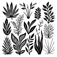 Botanical Elegance: A Collection of Hand-Drawn Leaf and Branch Illustrations