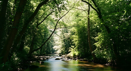 Fototapeta premium Sunlit river winding through a lush green forest canopy on a peaceful summer day