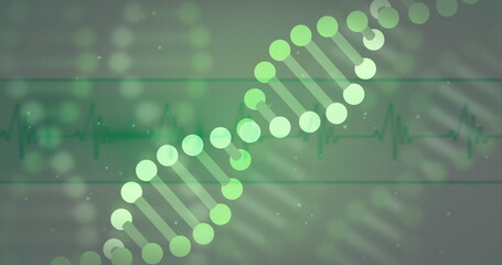 Slanting green DNA double helix graphic across abstract medical background, with ECG waveform lines