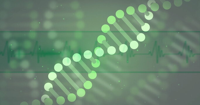 Slanting green DNA double helix graphic across abstract medical background, with ECG waveform lines