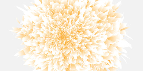 Beautiful Abstract orange Floral Artwork greyy Intricate Petal Design on White Background.vector illustration in bussines, web