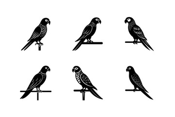 parrot on a perch vector art silhouette