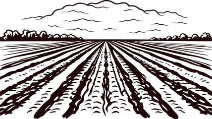 Plowed farmland field horizon with furrows and clouded sky engraved illustration for agriculture and rural landscapes