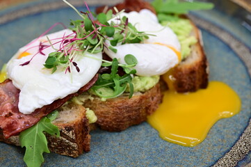 Avocado Toast with Poached Eggs, Bacon and Microgreens – Gourmet Breakfast Close-Up