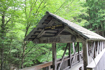 Sentinel Pine Covered Bridge at Flume Gorge