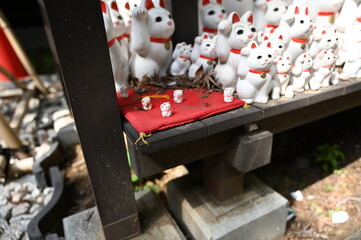 Tiny Japanese Lucky Cat Statues Stand Apart from Larger Specimens at the Gotokuji Lucky Cat Temple