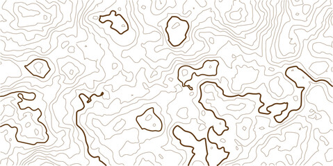 Geographic grid map, stock vector illustration, topographic line contour map background,