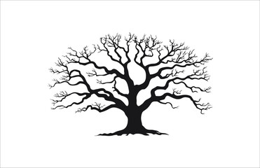 Obraz premium Silhouette of a large, old tree with prominent branches isolated on a white background