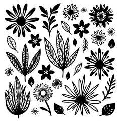 Elegant black and white floral vector pattern design with diverse botanical elements