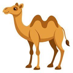 Cute cartoon camel with two humps standing on a white background isolated on white background
