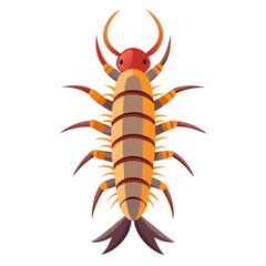 Obraz premium Stylized illustration of a centipede with many legs isolated on white background