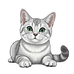 Fototapeta premium A cute silver tabby kitten with green eyes lies down, looking directly at the viewer.