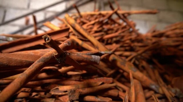 Close-up of dried cinnamon sticks stacked in sunlight