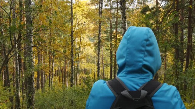 Trees and rocks in the Siberian forest, taiga on a cloudy autumn day.