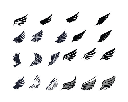 A set of diverse wing silhouettes in various positions and shades of black and gray