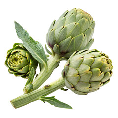 Obraz premium Fresh artichoke set isolated on transparent background 