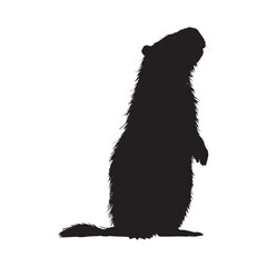 Obraz premium Capybara silhouette svg white background