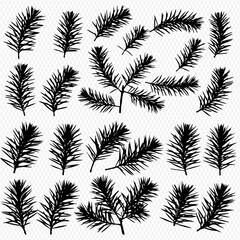 Elegant Pine Branch Silhouettes on Transparent Background Nature-Inspired Design Elements