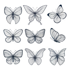 Hand-Drawn Minimalist Flying Butterfly Icons – Vector Set