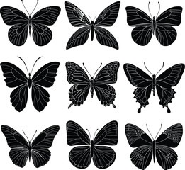 Minimalist Butterfly Line Art Illustration
