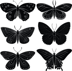 Collection of Butterfly Silhouettes – Vector Set