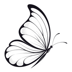 Clean and Simple Butterfly Vector Art